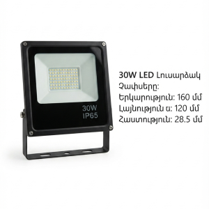 30w led Պրոյեկտոր՝ ip65 պաշտպանությամբ 6500k—(կոդ 0223)
